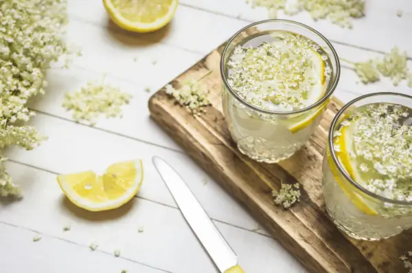 Lemoniada z kwiatów czarnego bzu - sekret idealnego orzeźwienia